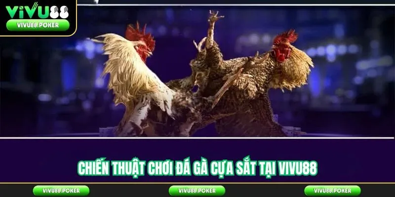 Chiến Thuật Chơi Đá Gà Cựa Sắt Tại Vivu88