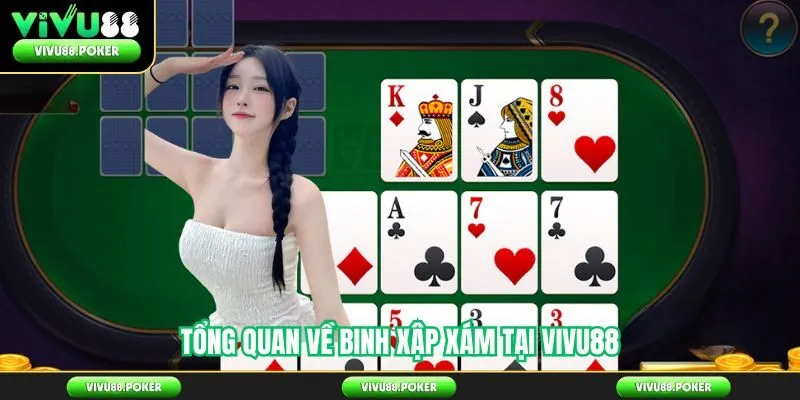 Tổng quan về binh xập xám tại Vivu88