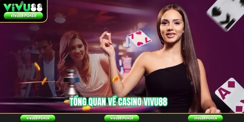 Tổng quan về casino vivu88